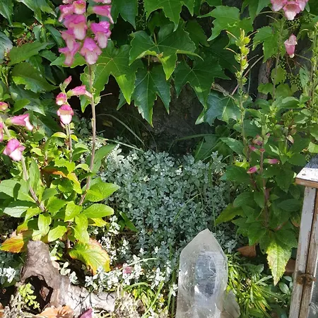 Apartment Surfers Horizon Loft With Balcony & Panoramic Views Grindelwald