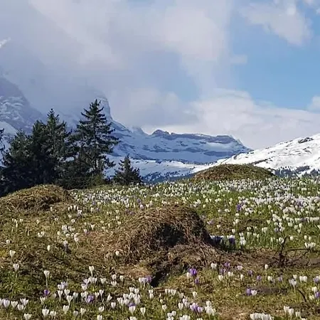 Surfers Horizon Loft With Balcony & Panoramic Views * Grindelwald