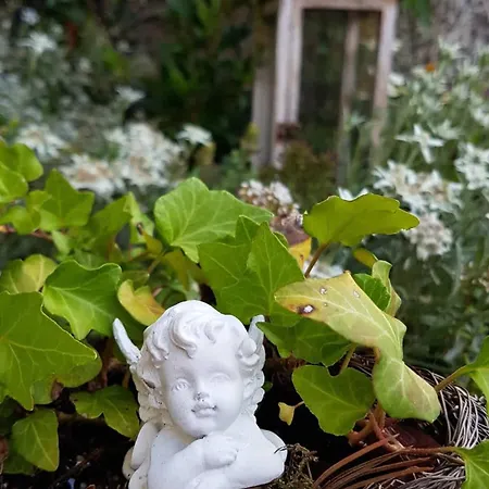 Surfers Horizon Loft With Balcony & Panoramic Views Apartment