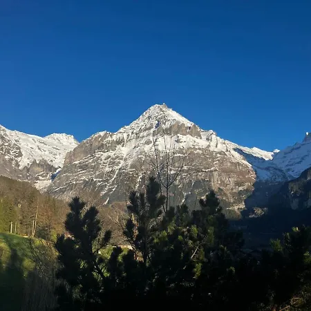 Surfers Horizon Loft With Balcony & Panoramic Views Apartment Grindelwald