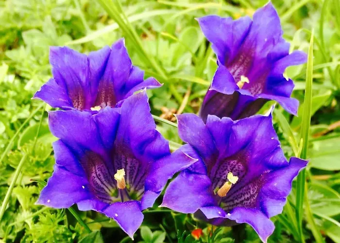 Surfers Horizon Loft With Balcony & Panoramic Views *