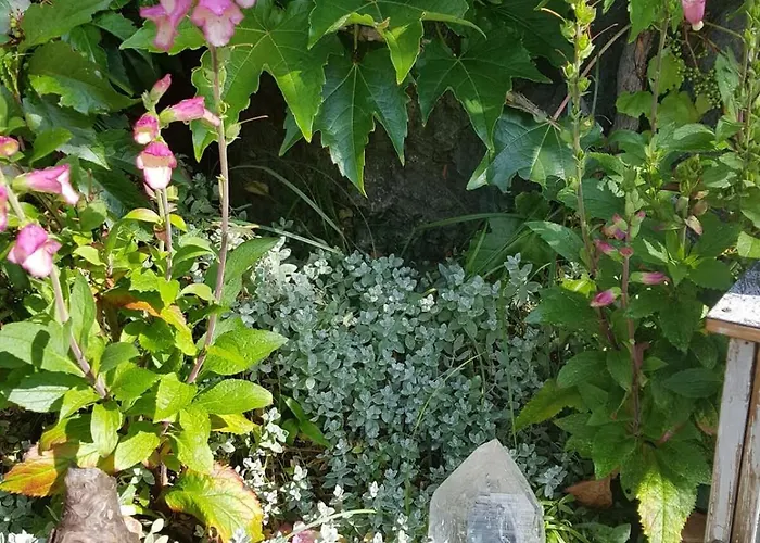 公寓 Surfers Horizon Loft With Balcony & Panoramic Views 格林德瓦