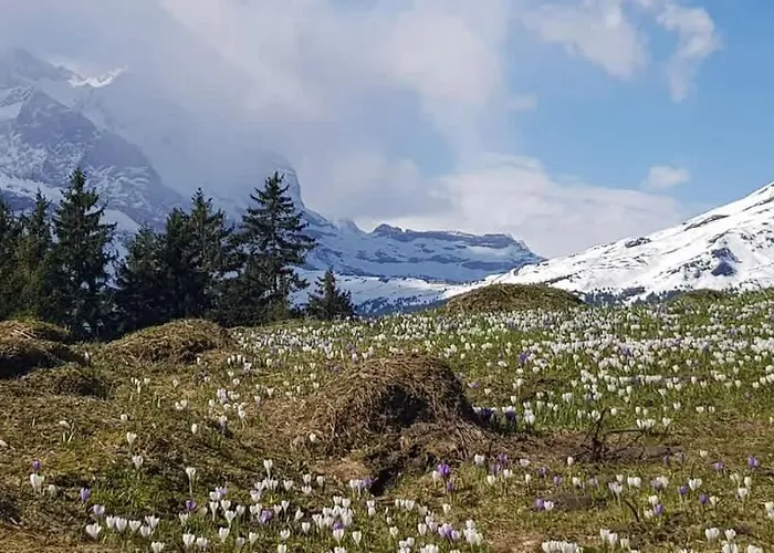 Surfers Horizon Loft With Balcony & Panoramic Views * 格林德瓦