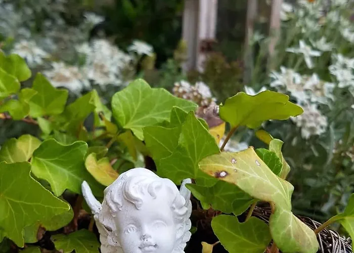 Surfers Horizon Loft With Balcony & Panoramic Views 公寓